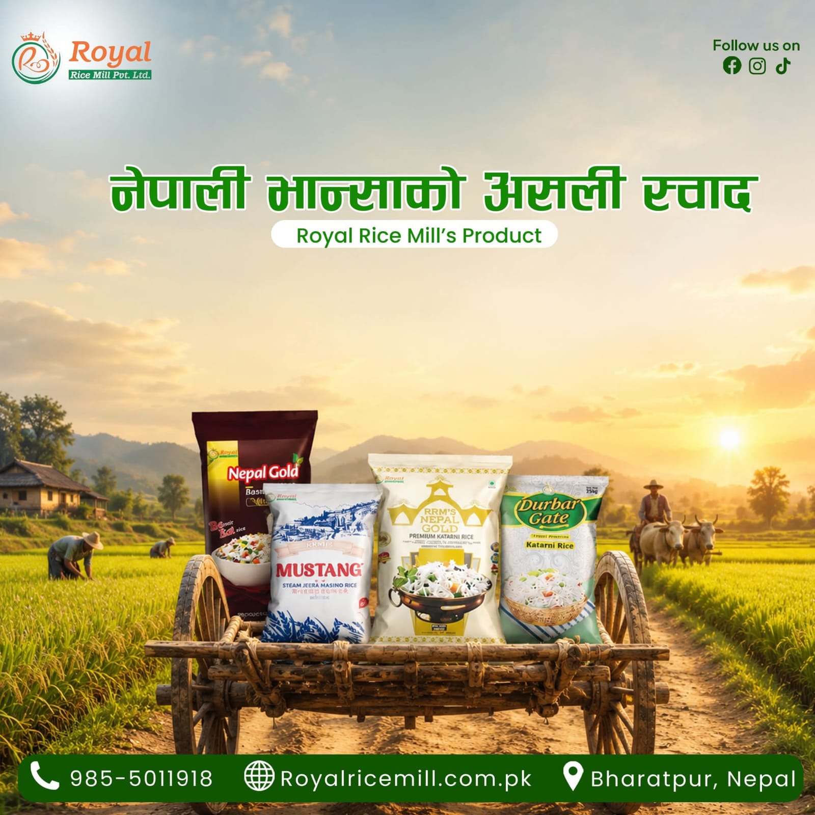 Royal Rice Mill mixed brand promotional image